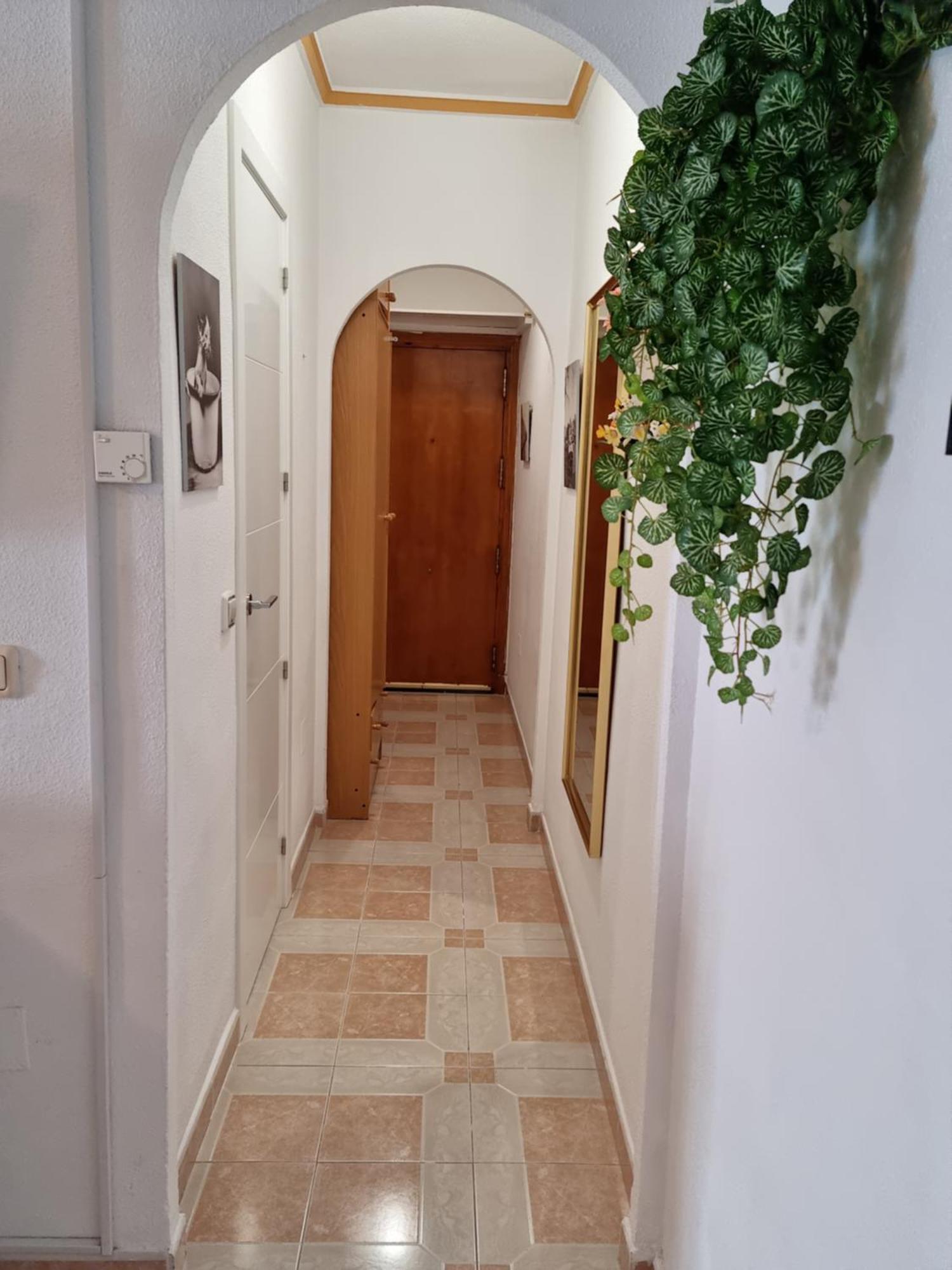 Nice Studio,10 Min To Del Cura Beach With Swim.Pool Torrevieja Esterno foto